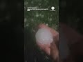 Massive Hail Shatters Window During Severe Storm In France