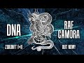 RAF CAMORA - DNA  I Zukunft 1 + 2 OUT NOW
