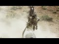 Brutal Stallion Mating Fight | Planet Earth II | BBC Earth