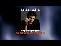 🌿  Shawn Mendes 🌿  ~ Greatest Hits Full Album ~ Best Songs All Of Time 🌿