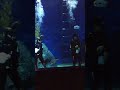 siam paragon aquarium