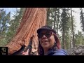 A Land of Giants: Kings Canyon National Park 4K