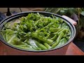 How to cook soup fish with morning glory សំលរម្ជូត្រកួន