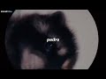 la canción de pedro | PEDRO - Raffaella Carrà, Jaxomy, Agatino Romero (Remix TikTok / Sub. Español)