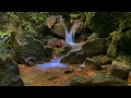 natural nature sounds - forest water sounds - relaxing river sounds