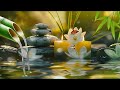 Relaxing Music Relieves Stress 24/7🌿Bamboo Water   Deep Sleep   Music for Studying, Meditation, Spa