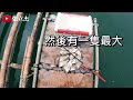 2022.09.01｜安平四草蚵棚螺釣，卻遇上拔不起來的魚兒!