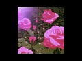 [playlist] chill lofi beats to relax to - love me again