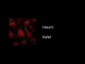 haunt - demo