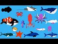 Learning video of sea animal shadow game for kids- learn sea animal names for toddlers