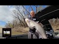 These simple tips CATCH CATFISH of all sizes! (How to catch catfish)