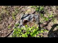 Exploring an old Abandoned Mine Site ruins North West Ontario