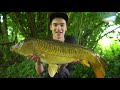 How To Catch Carp - Surface Fishing with Bread and Dog Biscuits - Floater Fishing Tips!