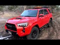 2023 4Runner TRD PRO 1 Year review