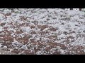 Colo Springs Hail Storm June 2018