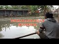 Ada Ada Aja..!! aturan Mancing Bawal Di Kolam Harian.