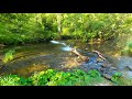 Dovedale to Milldale 26th Best British Walk, English Countryside 4K