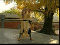 Shaolin Ba Duan Jin 少林八段錦