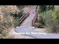Hobble Creek Canyon Bike Ride