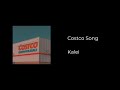 costco song - demo