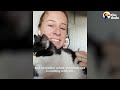 Cat Insists On Horseback Riding With Mom | The Dodo