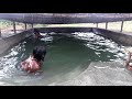 Build Summer Underground Swimming Pool