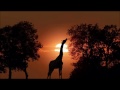 Wonderful Africa Chill out music