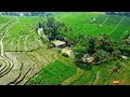 Menyusuri sungai diantara sawah terasiring