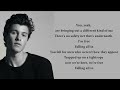 Shawn Mendes - Fallin' All In You (lyrics)