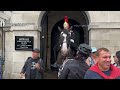 MAN TRIES TO KICK THE KING’S GUARD HORSE