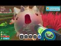 The Final Stream Before Affiliate Status - We Wigglin'! - Slime Rancher