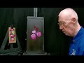 Oil Painting Lesson. How to paint Tulips