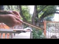 Window Cleaning - Ettore Brass Channel no end clips Bent Ends Holds Rubber