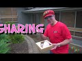 Making yummy Donuts with Matty Crayon | National Donut Day