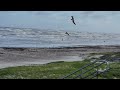 Gulf of Mexico is doing some talking here at Galveston Island Texas on 6/17/24.