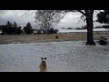 Baby playing ball in the snow