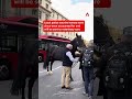 Horses run loose in central London