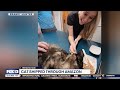 Cat reunited with family after being shipped through Amazon | FOX 13 Seattle