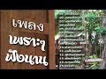 เพลงเพราะๆ ฟังนาน รักที่อยากลืม/บุพเพสันนิวาส/บอกรักฝากใจ