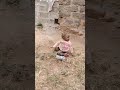 cute baby playing with toys