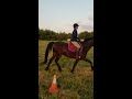 English Dressage W/T and Amy Moskin with Illusion Offreedom