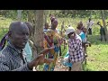 How a Community united to restore Nyakambu Wetland