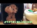 シャッターを操る怪しいおじさん