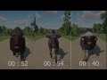 Bovidae (Bovids) Animals Races in Planet Zoo included American Bison, Holstein Cow, Buffalo & etc