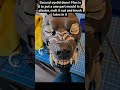 Making-of animatronic wolf mask