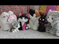 My cat toy 🐈🐈‍⬛ collection (video version) 😻💖