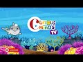 Whales for Kids,  Learn Sea Animals | Blue whale, Sperm whale, Beluga Whale and More