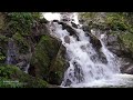 새들이 지저귀는 계곡 폭포 소리, 자연의 소리 asmr/1시간 뒤 화면 꺼짐/힐링 영상/The sound of a waterfall & The sound of birds