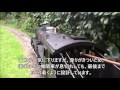 3.5インチ　ライブスチーム　技巧舎　C6216の試運転