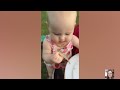 Try Not To Laugh: Funny Baby and Animal Videos || Just Laugh
